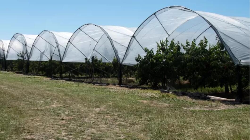 Teeltondersteunende voorzieningen voor de fruitteelt