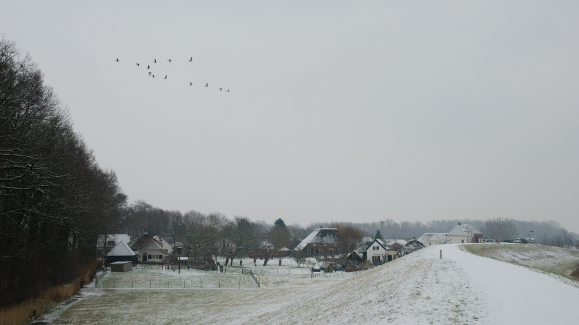 waaldijk 