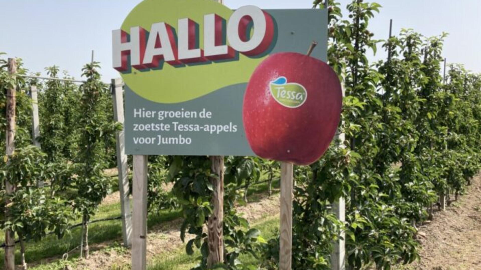 fruitteelt