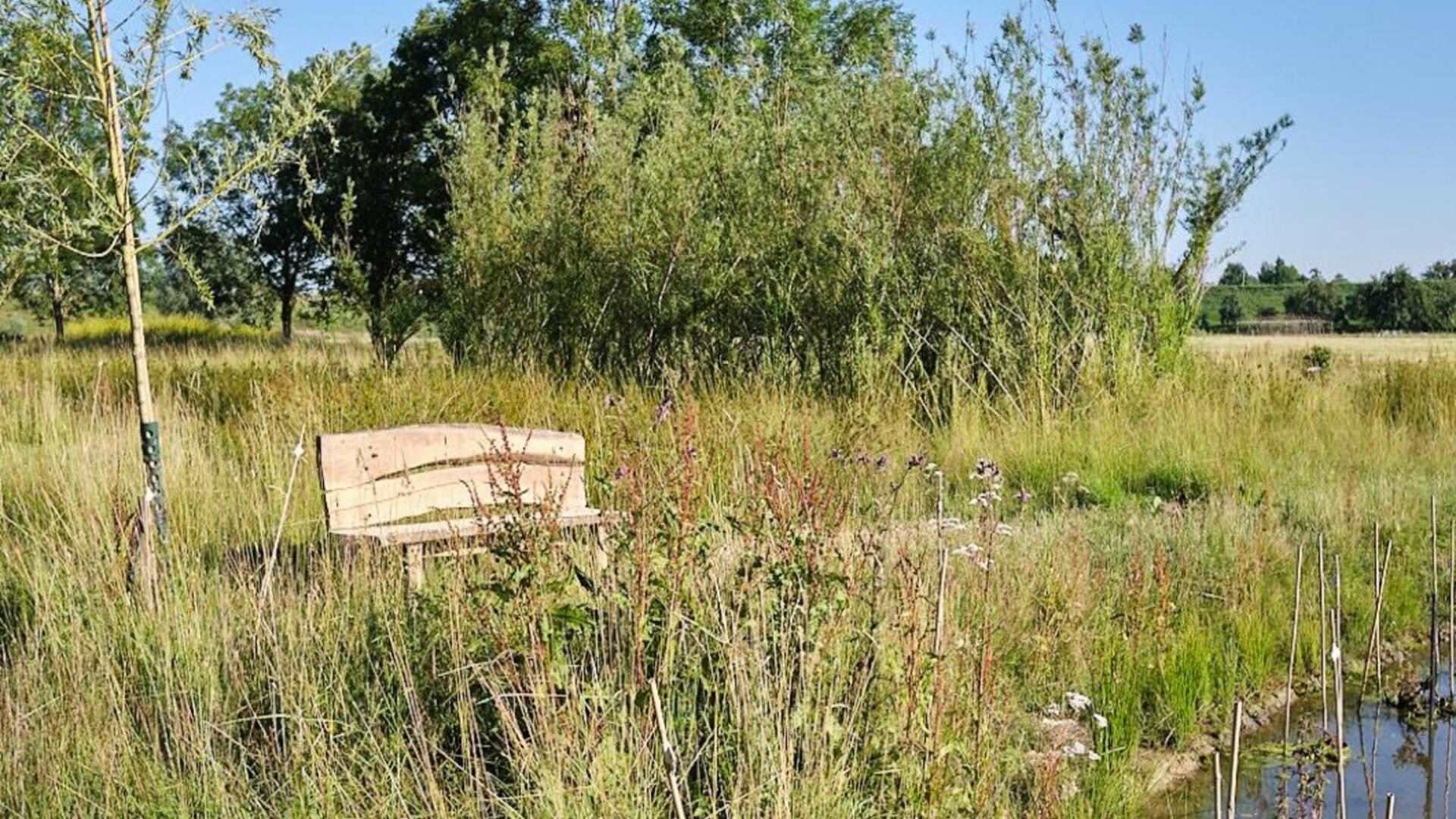 bankje